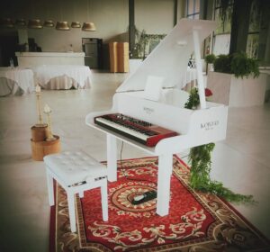 Carpinteria en General PIANO